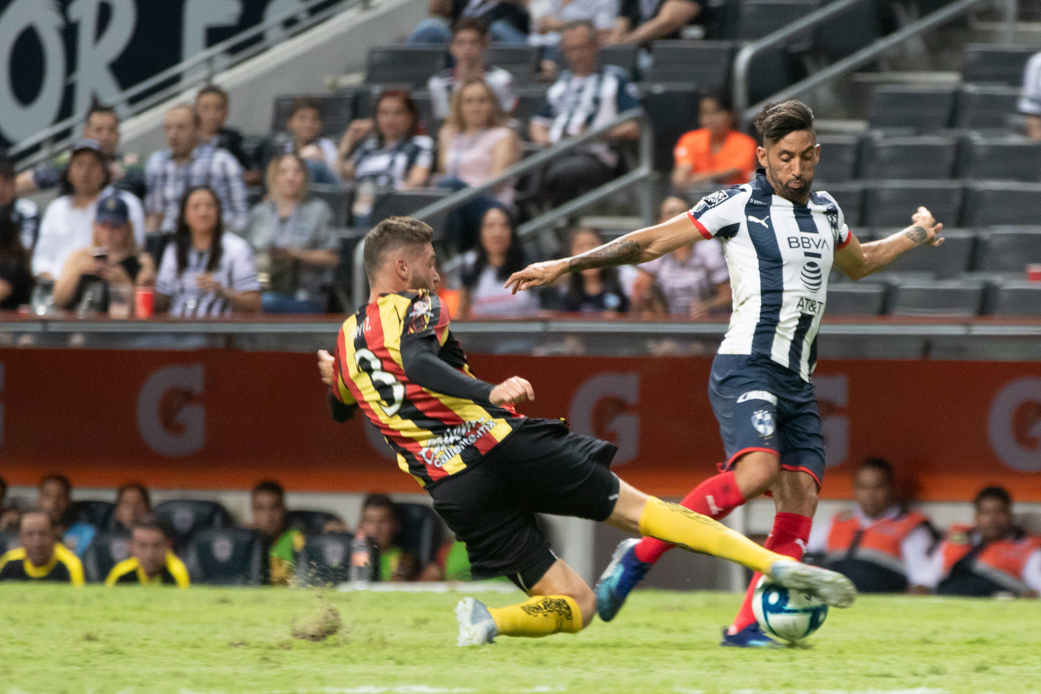 DEBUT AMARGO | Leones Negros