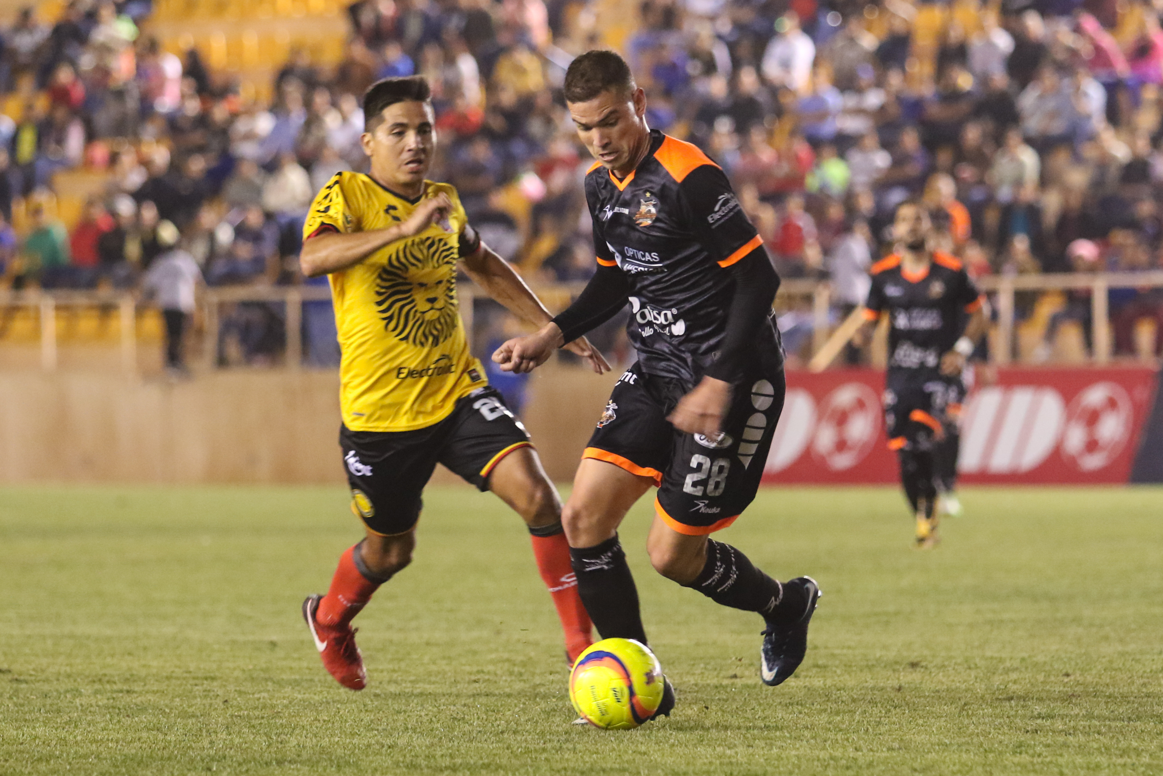 MUESTRAN LAS GARRAS EN SEMIFINAL | Leones Negros