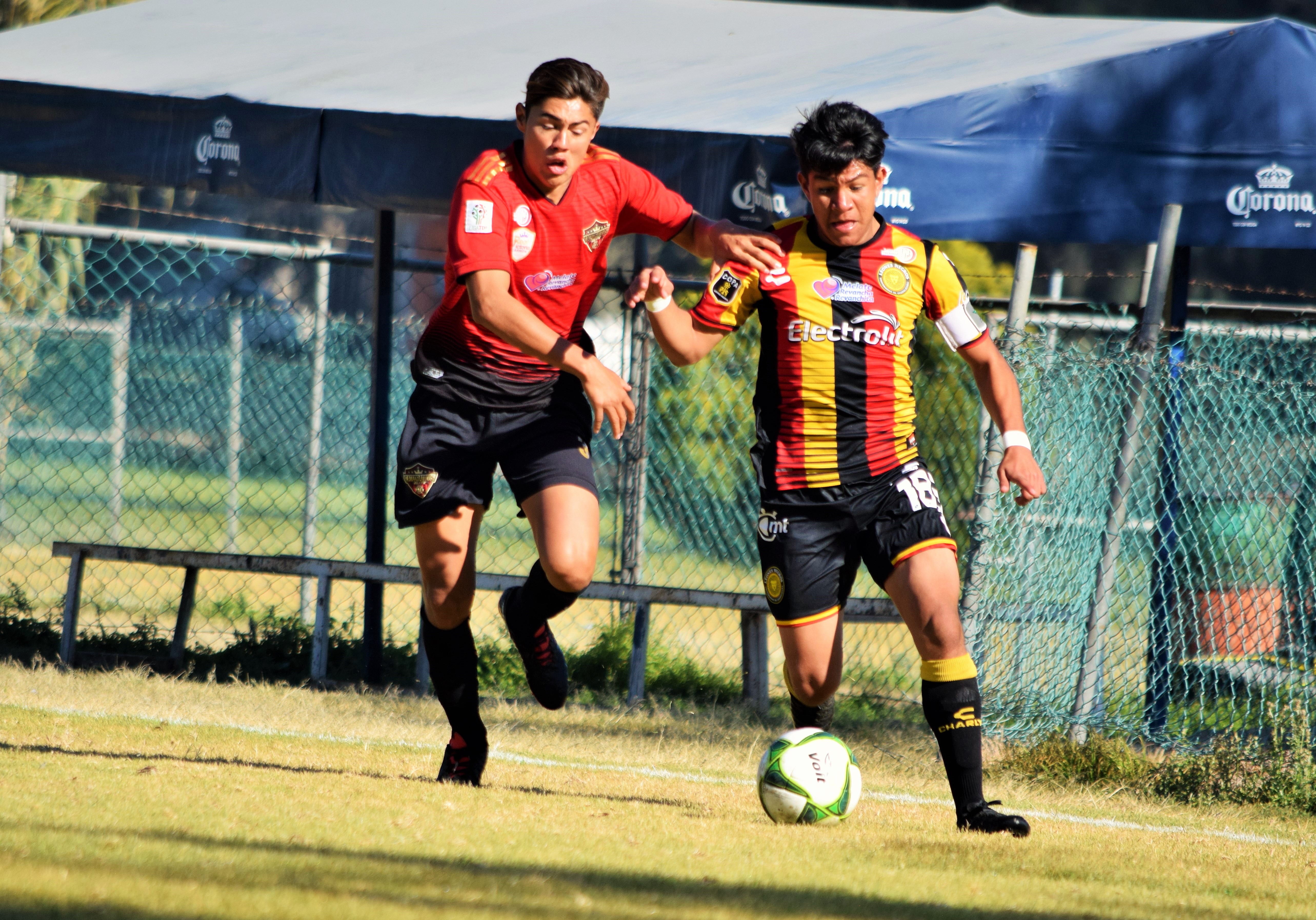 UN VISTAZO A LAS FUERZAS BÁSICAS | Leones Negros