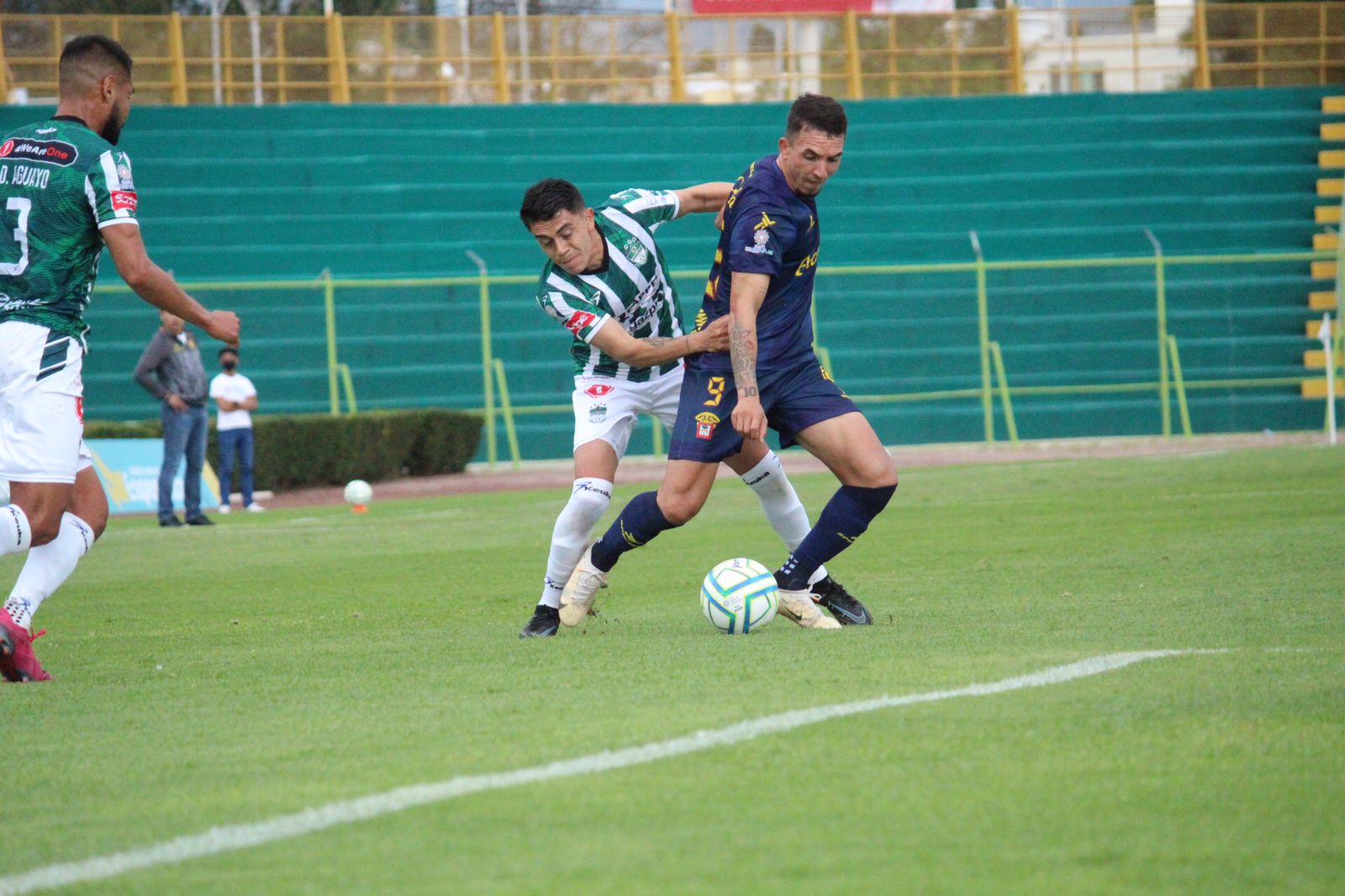 PICADURA DE ALACRÁN | Leones Negros