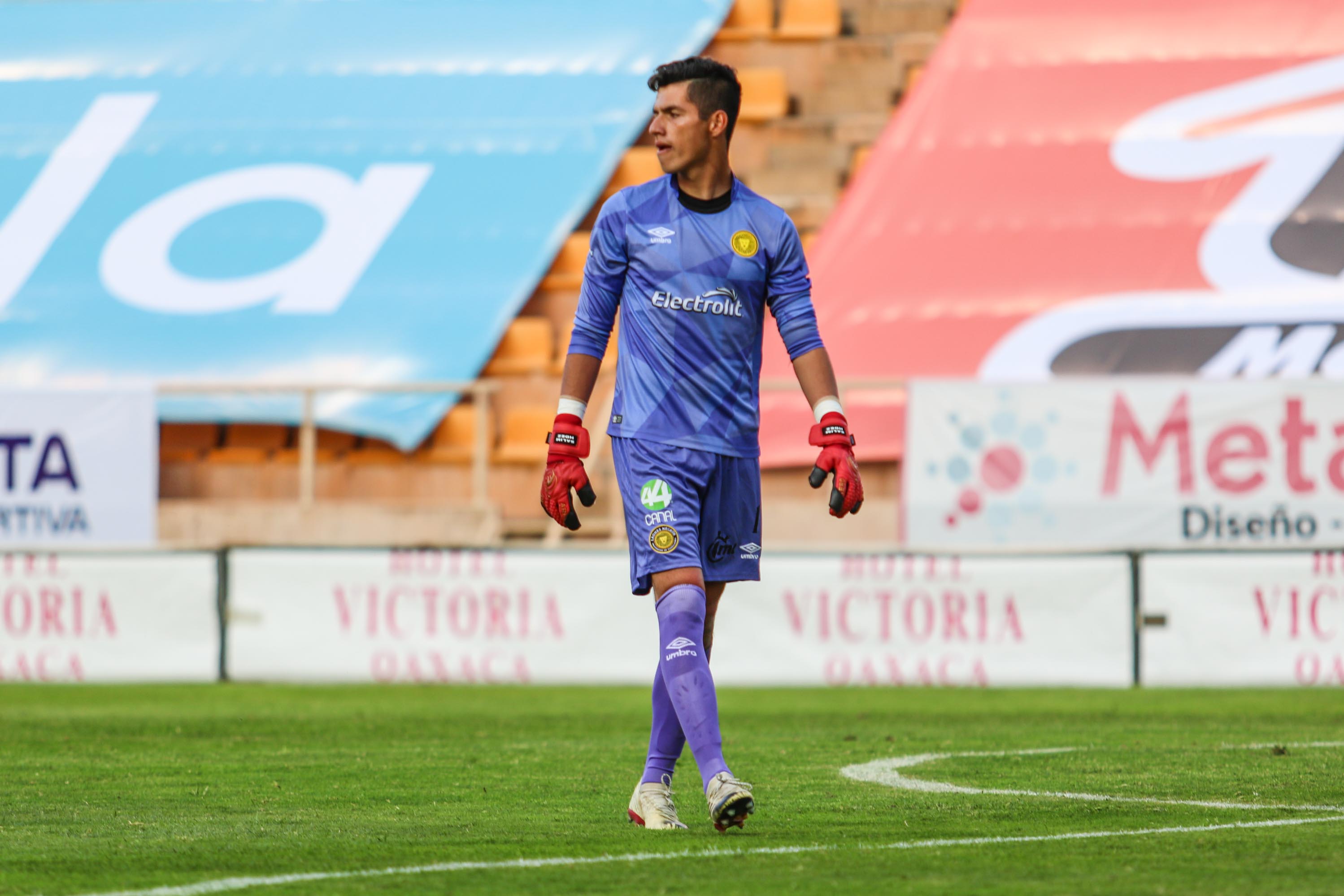 DEBUT ESPERADO | Leones Negros