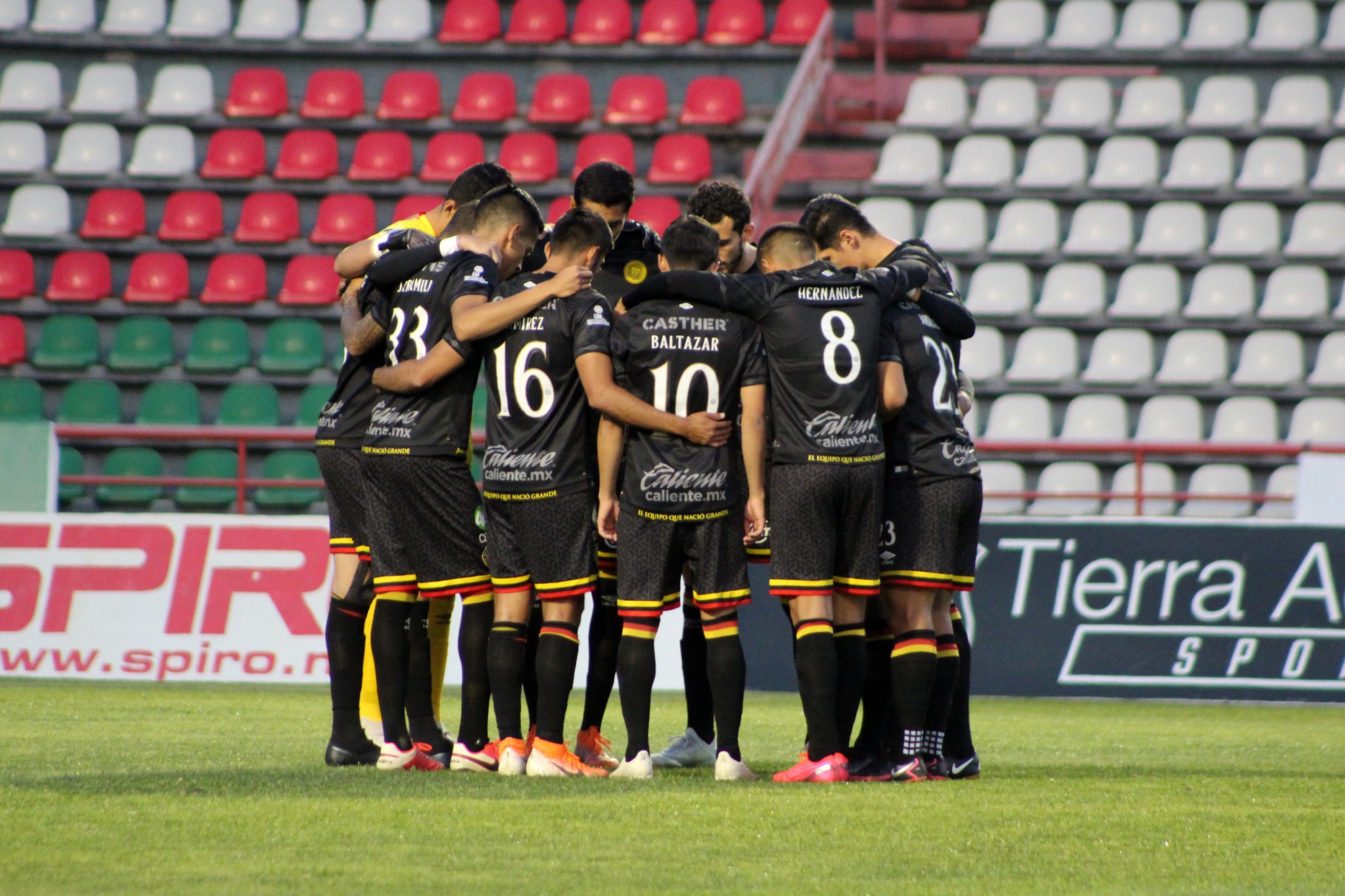 VUELTA A LA PÁGINA | Leones Negros