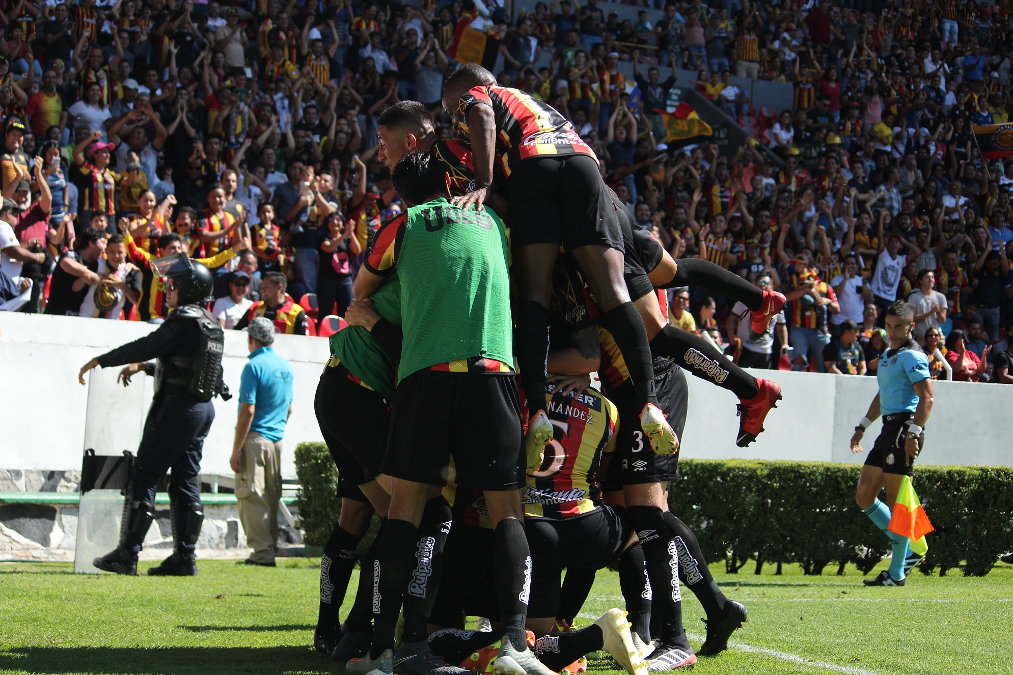 LEONES NEGROS A LIGUILLA | Leones Negros