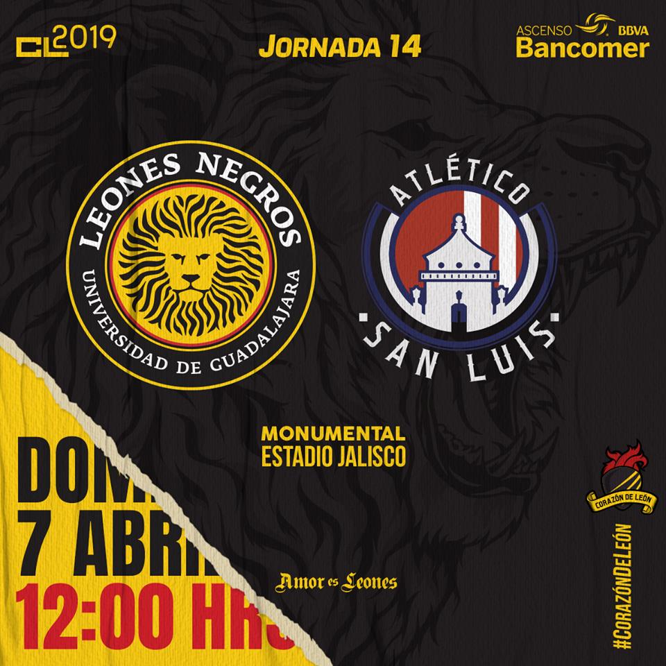 PREVIA J14: CON SABOR A LIGUILLA | Leones Negros