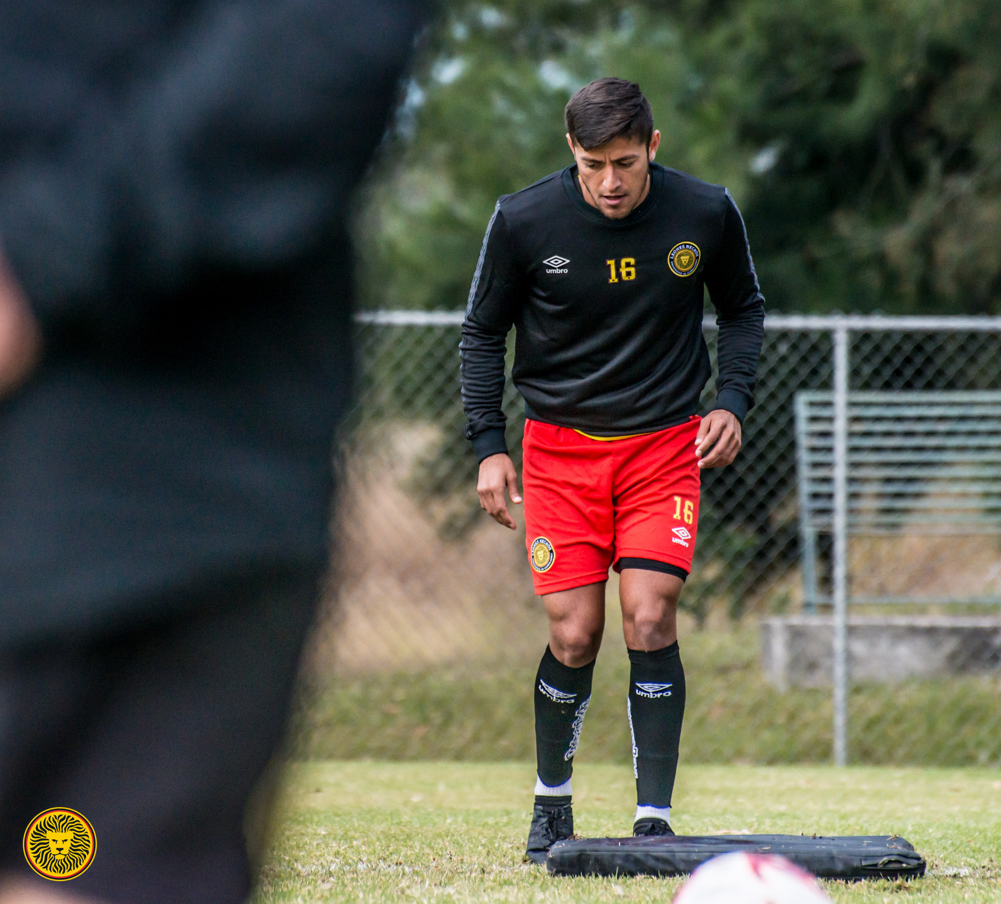 APROVECHAR LA OPORTUNIDAD | Leones Negros