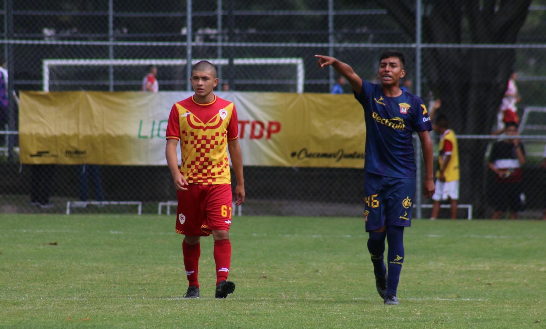 TDP: CLÁSICO PARA UdeG | Leones Negros