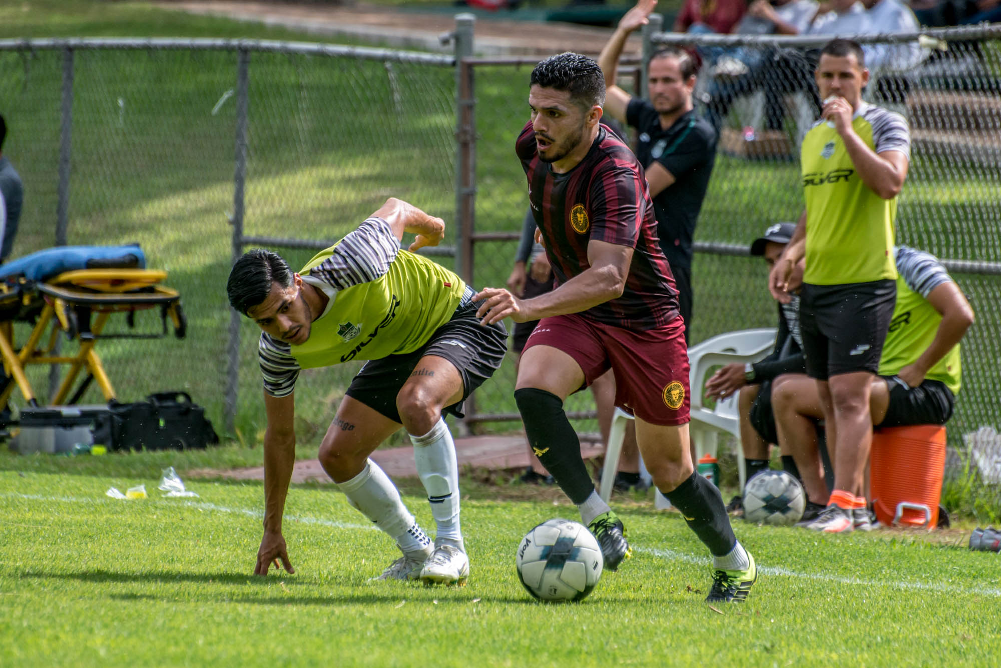 AMISTOSA BIENVENIDA | Leones Negros